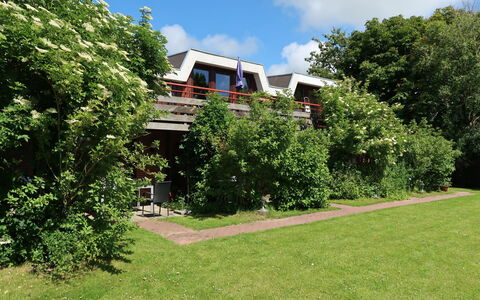 Friedrichskoog 611: Cloud, Sky, Plant, Property, Building, Natural Landscape, Land Lot, Tree, Grass, Shade