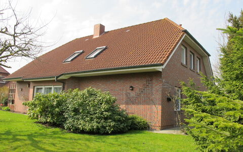 Gitta: Plant, Sky, Building, Window, Cloud, Tree, House, Wood, Cottage, Land Lot
