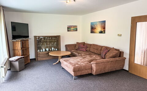 Ferienhaus Sonne: Furniture, Interior Design, Flooring, Floor, Wood, Couch, Room, Living Room, Lighting, Ceiling