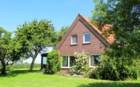 Horumersiel 656: Building, Plant, Sky, Window, Natural Landscape, House, Tree, Land Lot, Grass, Cottage