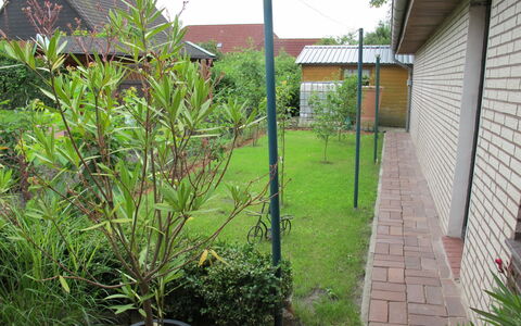 Christine: Plant, Property, Building, Flowerpot, Tree, Window, Vegetation, House, Land Lot, Grass