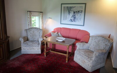 Blechnerhof 608.1: Building, Furniture, Comfort, Wood, Window, Living Room, Flooring, Interior Design, Floor, Table