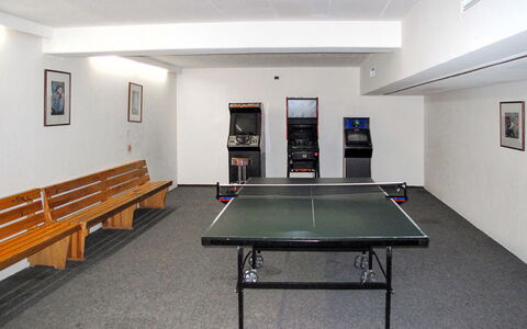 Maierhöfen 608: Table, Furniture, Building, Sports Equipment, Recreation Room, Table Tennis Racket, Hall, Wood, Ping Pong, Picture Frame