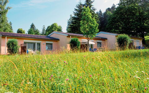 Maierhöfen 608: Plant, Flower, Sky, Building, Window, Cloud, Plant Community, Tree, Natural Landscape, Botany