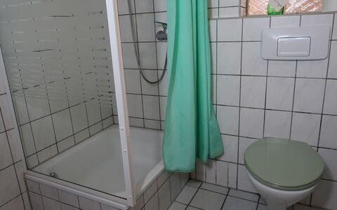 Wesenberg 602: Plumbing Fixture, Property, Bathroom, Purple, Shower, Interior Design, Flooring, Floor, Shower Door