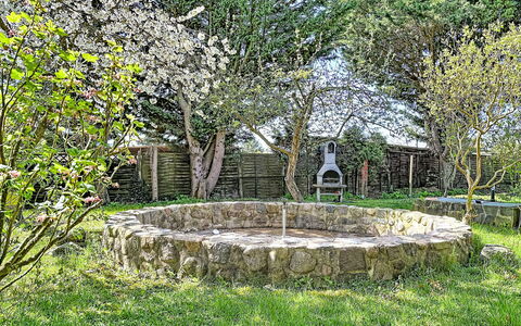 Godern 614: Garden, Groundcover, Trunk, Spring, Lawn, Backyard, Shade, Yard, Landscaping, Water Feature