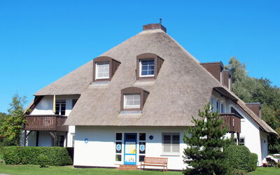 Ostseebad Prerow 605: House, Property, Home, Residential Area, Building, Roof, Real Estate, Architecture, Estate, Cottage
