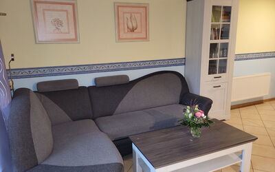 Breege 639: Furniture, Picture Frame, Property, Table, Flower, Plant, Couch, Interior Design, Studio Couch, Floor