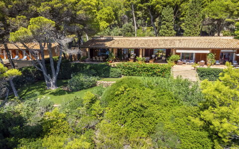 Finca L'Embat: Plant, Plant Community, Tree, Natural Landscape, Botany, Vegetation, Grass, Building, Woody Plant, Shrub
