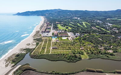 Green Mar C