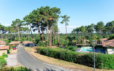 Moliets 626: Plant, Sky, Tree, Street Light, Natural Landscape, Road Surface, Asphalt, Arecales, Land Lot, Urban Design