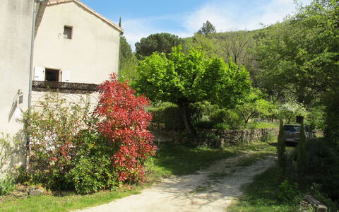 Marguerie: Plant, Sky, Flower, Property, Building, Window, Cloud, Natural Landscape, House, Land Lot