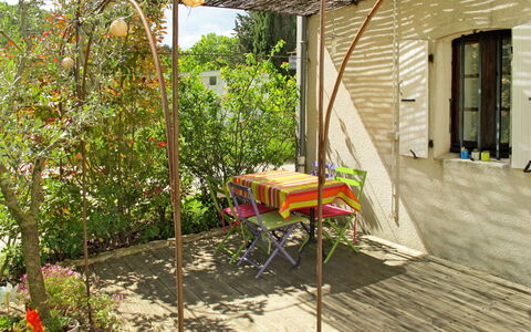 Marguerie: Plant, Property, Window, Building, Flowerpot, Shade, Wood, Outdoor Furniture, Flower, Landscape