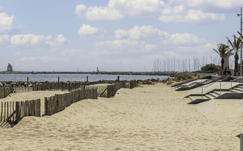 La Grande Motte 606: Cloud, Sky, Water, Tree, Wood, Coastal And Oceanic Landforms, Plant, Beach, Dock, Horizon