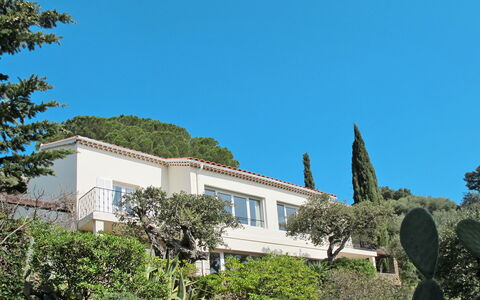 Le Lavandou 604: Vegetation, Property, House, Architecture, Real Estate, Building, Home, Tree, Sky, Botany