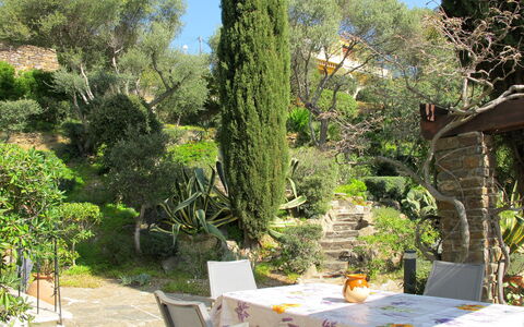 Le Lavandou 604: Property, Tree, Vegetation, Garden, Botany, Real Estate, Table, Plant, Botanical Garden, Yard