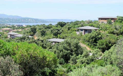 Bruyères 1: Vegetation, Property, Shrubland, Natural Landscape, Plant Community, Nature Reserve, Biome, Tree, Hill, Botany