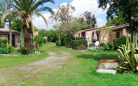 San Nicolao 674: Property, Home, House, Real Estate, Estate, Building, Yard, Grass, Lawn, Residential Area