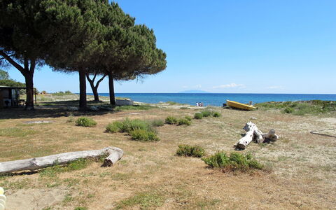 San Nicolao 674: Sky, Water, Plant, Plant Community, Azure, Natural Landscape, Land Lot, Coastal And Oceanic Landforms, Vegetation, Wood