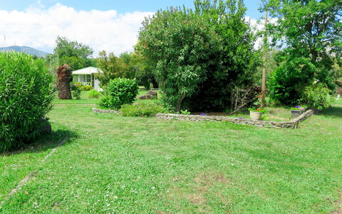 San Nicolao 674: Land Lot, Property, Grass, Vegetation, Natural Landscape, Yard, Nature Reserve, Lawn, Garden, Tree