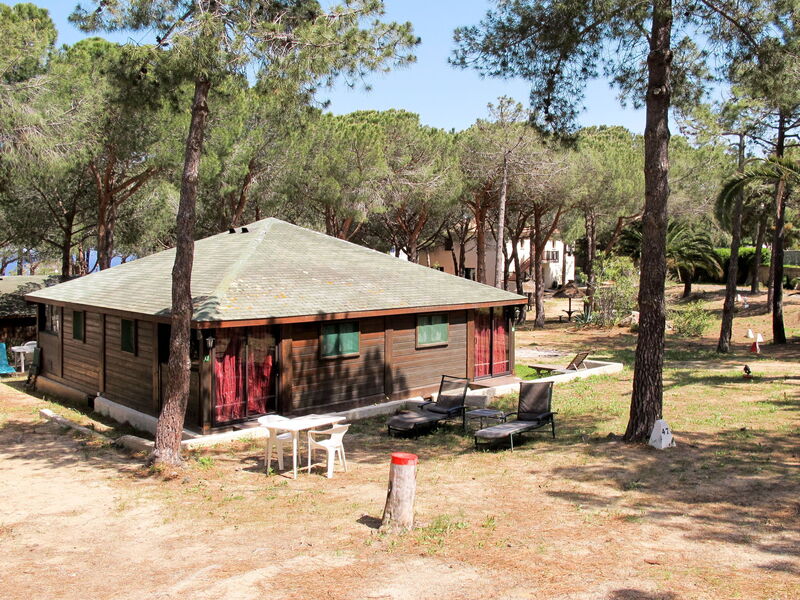Calvi 609