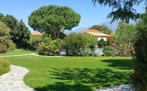 Calvi 610: Sky, Plant, Tree, Natural Landscape, Land Lot, Shade, Woody Plant, Grass, Shrub, Groundcover