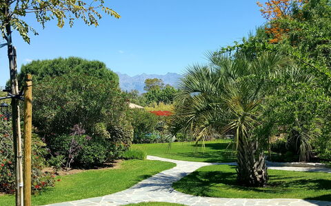 Calvi 610: Plant, Sky, Property, Plant Community, Natural Landscape, Vegetation, Tree, Land Lot, Grass, Arecales
