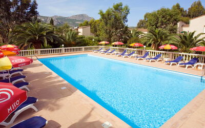 Calvi 612