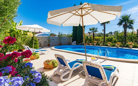 Poreč 606: Water, Plant, Flower, Sky, Property, Furniture, Swimming Pool, Umbrella, Blue, Azure