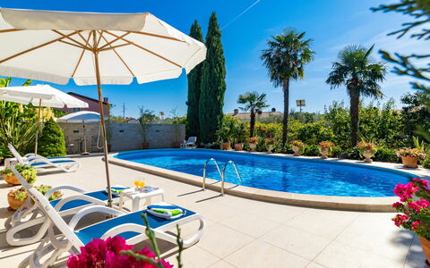 Poreč 606: Water, Plant, Sky, Daytime, Property, Swimming Pool, Building, Flower, Azure, Tree