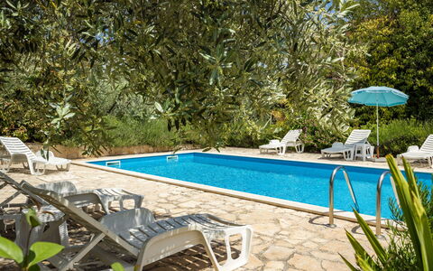 Poreč 608: Water, Plant, Furniture, Property, Swimming Pool, Chair, Shade, Outdoor Furniture, Tree, Rectangle