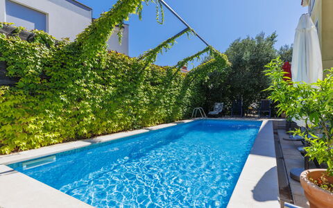 Gabi: Plant, Water, Sky, Daytime, Property, Flowerpot, Green, Azure, Window, Blue