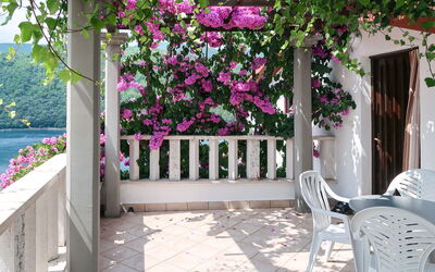Accommodation:&nbsp;Violetta 755.1