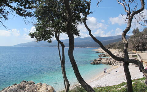 Rabac 638: Water, Sky, Cloud, Plant, Water Resources, Natural Landscape, Wood, Tree, Lake, Trunk