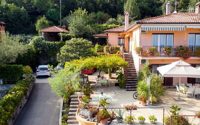 Mošćenička Draga 616: Property, House, Residential Area, Real Estate, Building, Home, Neighbourhood, Roof, Botany, Tree