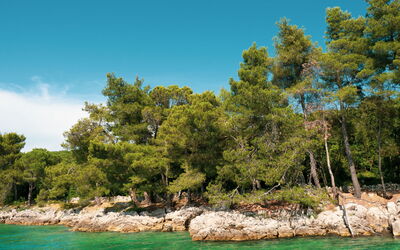 Krk Malinska 633