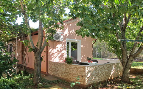 Catarina 1: Plant, Building, Window, Tree, Land Lot, House, Cottage, Wood, Residential Area, Grass