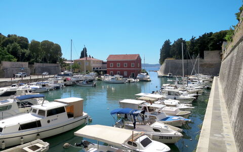 Catarina 1: Marina, Harbor, Boat, Port, Water, Vehicle, Dock, Water Transportation, Vacation, Boating