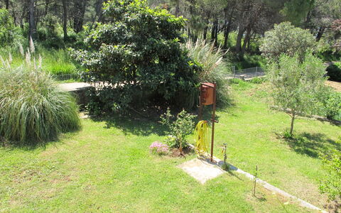 Zadar 618: Plant, Property, Plant Community, Natural Landscape, Tree, Land Lot, Grass, Landscape, Groundcover, Grassland
