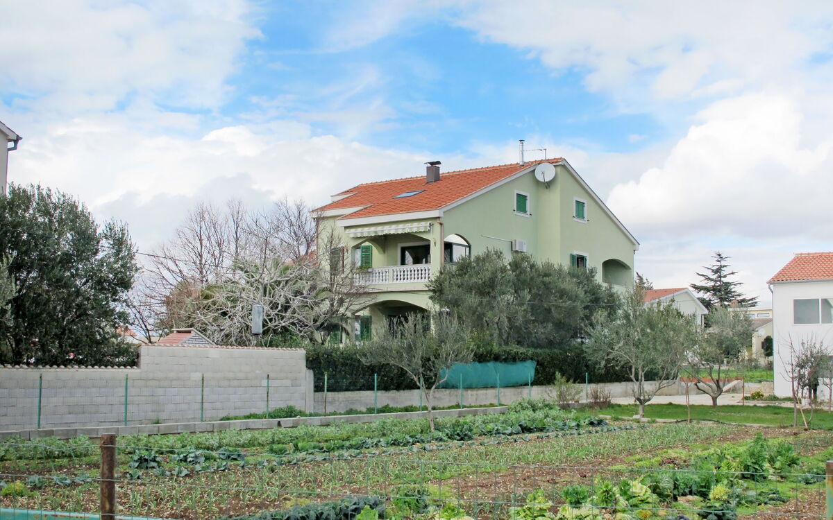 Adrijan (Zad550)