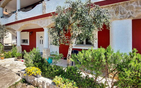 Vodice 613: Plant, Building, Window, Flower, Botany, Vegetation, House, Yellow, Neighbourhood, Residential Area