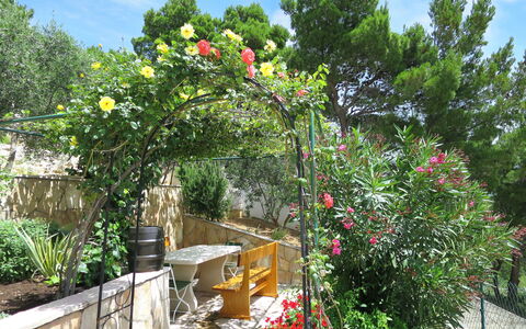 Nina: Flower, Garden, Plant, Tree, Botany, Architecture, Spring, Yard, House, Real Estate