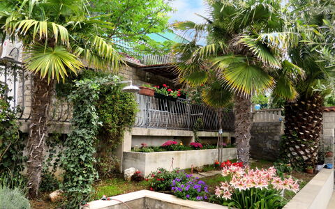 Garden: Plant, Property, Building, Plant Community, Flower, Tree, Leaf, Nature, Botany, Sky