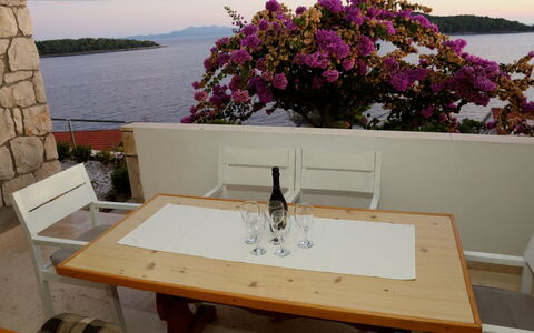Korčula Korčula 606: Table, Plant, Furniture, Property, Water, Flower, Sky, Flowerpot, Building, Window
