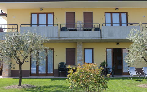 Lazise 741: Plant, Sky, Plant Community, Natural Landscape, Branch, Tree, Grass, Shrub, Deciduous, Landscape