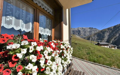 Livigno 619: Plant, Flower, Building, Property, Window, Flowerpot, Sky, Mountain, House, Petal