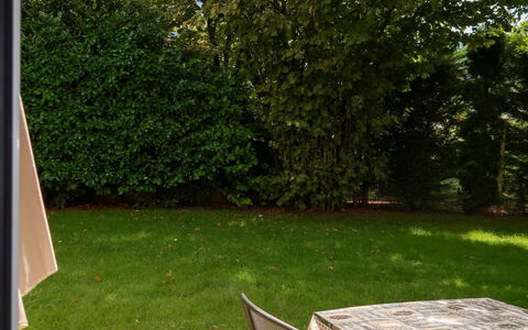 Casa Irene: Plant, Nature, Botany, Shade, Road Surface, Outdoor Bench, Sunlight, Land Lot, Vegetation, Tree