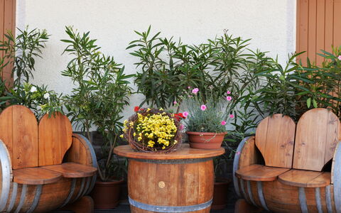 Andriano 602: Flowerpot, Houseplant, Plant, Flower, Garden, Herb, Barrel, Room, Wood, Furniture