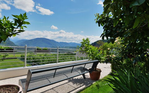 Andriano 602: Sky, Vegetation, Green, Property, Tree, Cloud, Nature Reserve, Real Estate, Botany, Grass