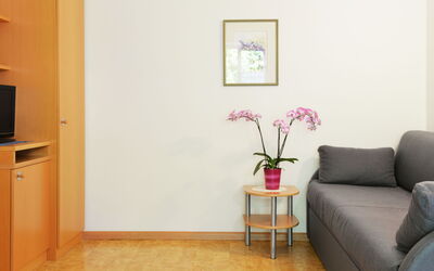 Accommodation:&nbsp;Hocheppan 602.3
